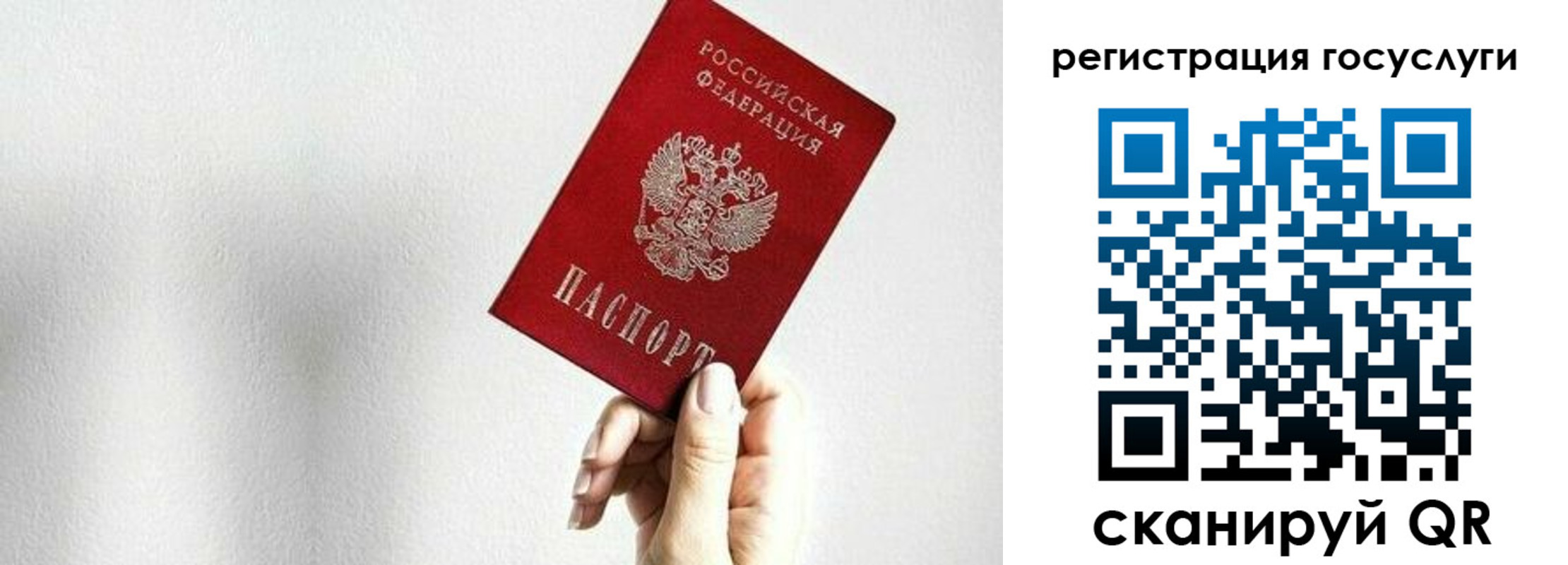 прописка гарантия в Нытве